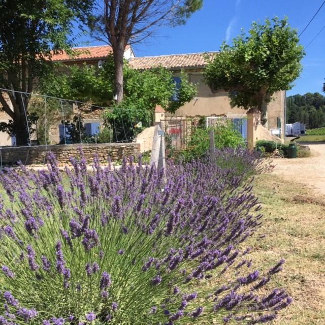 Mas De Costebelle Bed & Breakfast Bollène Dış mekan fotoğraf