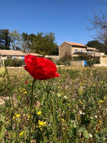 Mas De Costebelle Bed & Breakfast Bollène Dış mekan fotoğraf